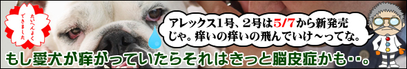 もし愛犬が痒がっていたらそれはきっと脳皮症かも・・。