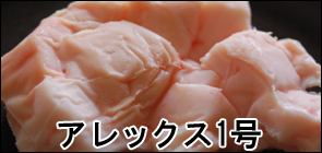 アレックス1号