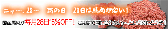 ����28���͔L�̓�