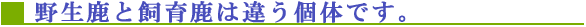 �쐶���Ǝ��玭�͈Ⴄ�̂ł��B