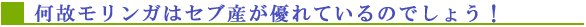 ���̃������K�̓Z�u�Y���D��Ă���̂ł��傤�I