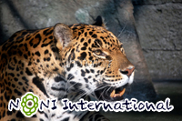 �q���E
