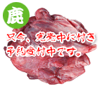�����Y�����X�^���_�[�h 1kg